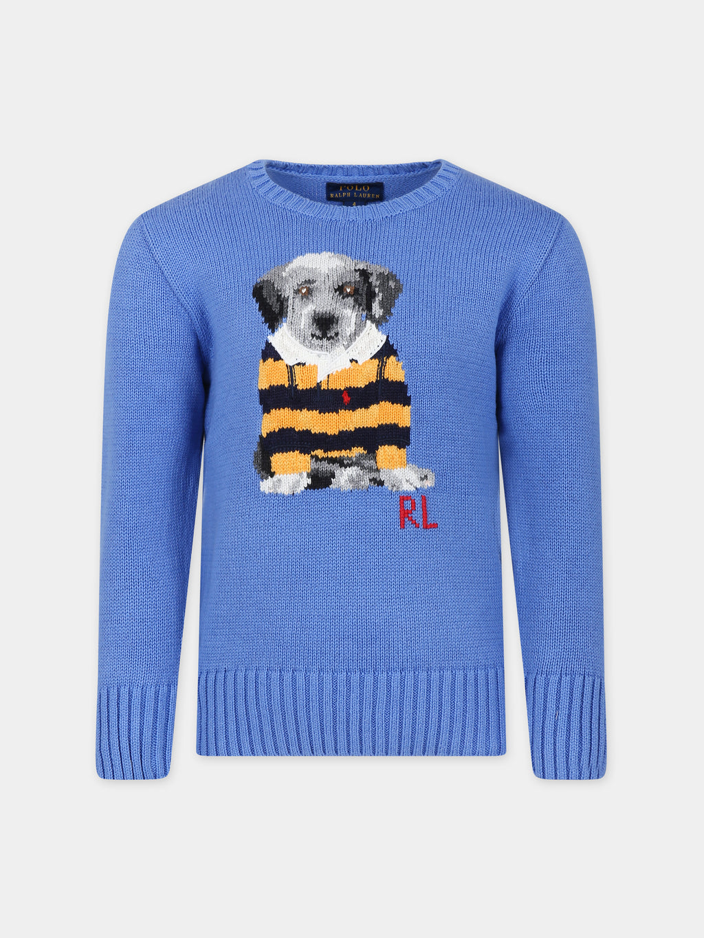 Light blue sweater for boy with dog